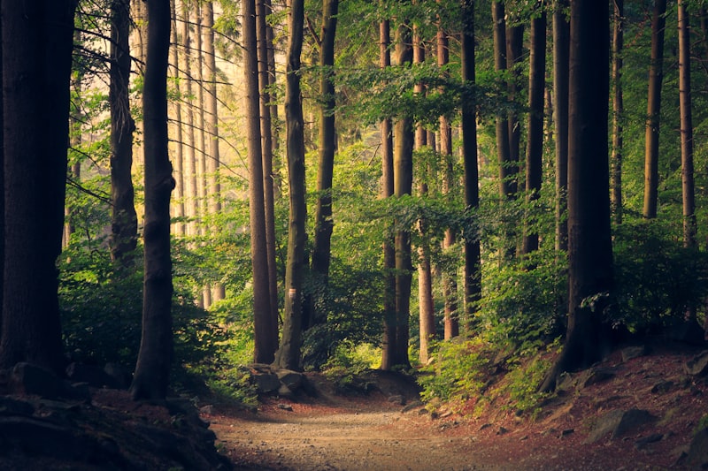 Our active church community